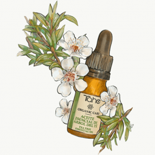 Peluquería y Estética Teresa aceite esencial de árbol del té organic care